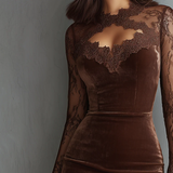 Bruine Vintage Sleutelgat Halslijn Kant Mouw Velours Mini Jurk